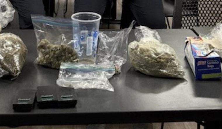 Goodlettsville Police Seize Over 14 Ounces of Marijuana; Woman Charged Amid Traffic Stop on Rivergate Parkway