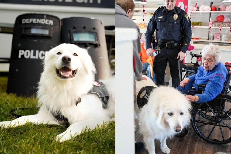 Grove City Celebrates One Year of Bo the Therapy Dog's Service with #LoveLikeBo Kindness Initiative
