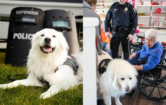 Grove City Celebrates One Year of Bo the Therapy Dog's Service with #LoveLikeBo Kindness Initiative