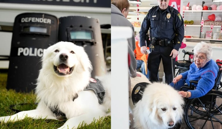 Grove City Celebrates One Year of Bo the Therapy Dog's Service with #LoveLikeBo Kindness Initiative