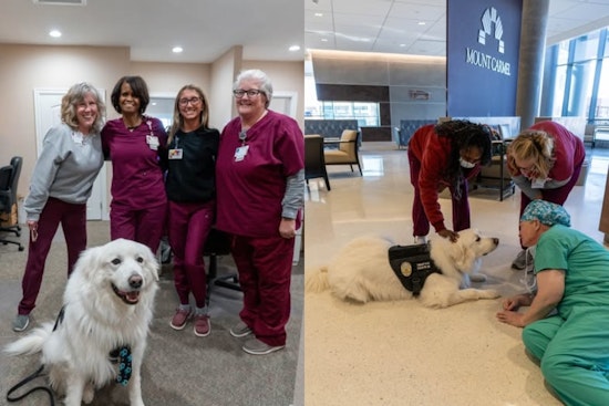 Grove City's Therapy Dog TK9 Bo Visits Healthcare Workers in Ohio to Spread Kindness and Community Spirit