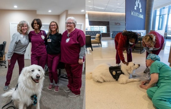 Grove City's Therapy Dog TK9 Bo Visits Healthcare Workers in Ohio to Spread Kindness and Community Spirit