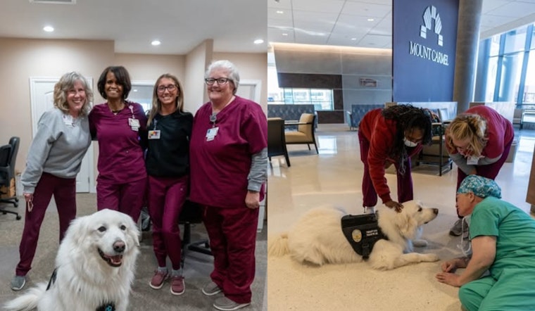 Grove City's Therapy Dog TK9 Bo Visits Healthcare Workers in Ohio to Spread Kindness and Community Spirit