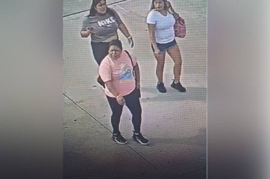 Harris County Constable Seeks Public's Help in Identifying $2,800 Handbag Theft Suspects at Versace Store