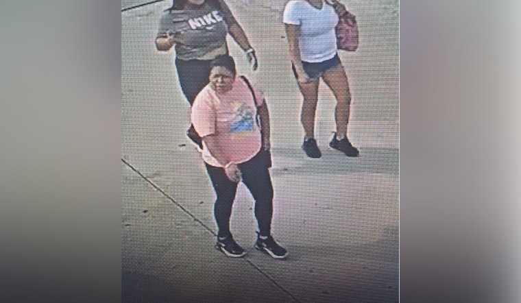 Harris County Constable Seeks Public's Help in Identifying $2,800 Handbag Theft Suspects at Versace Store