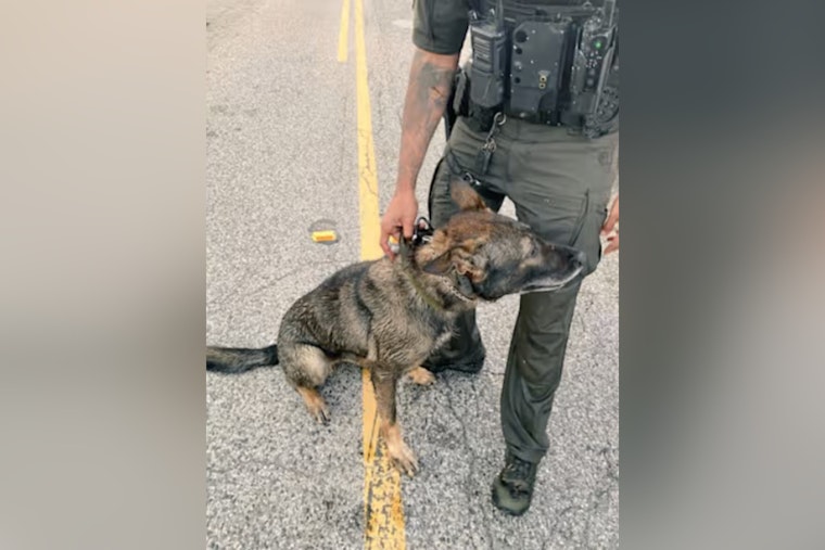 Harris County K-9 Ghost Knocked Unconscious After Pond Fight With Fugitive