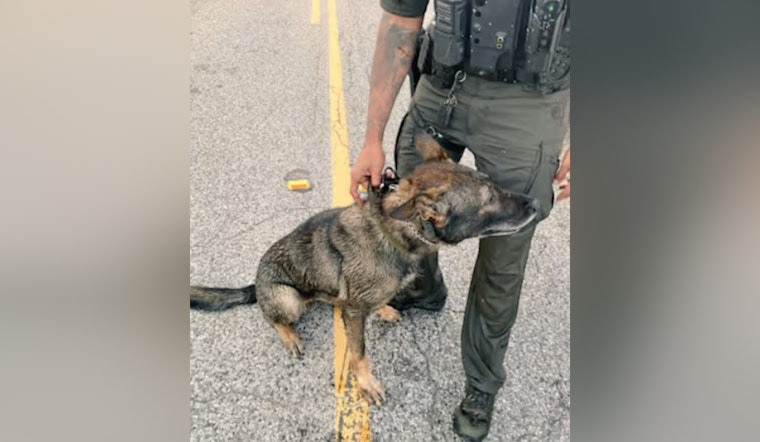 Harris County K-9 Ghost Knocked Unconscious After Pond Fight With Fugitive
