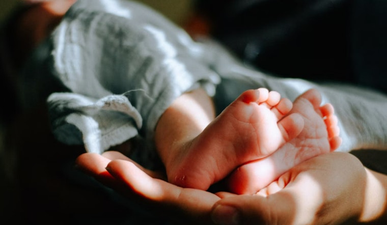 Hawaii Baby Bust: Births Drop Nearly 20 Percent As Costs Squeeze Families