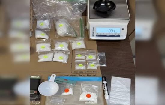 Hawai'i Police Department's Vice Division Leads State in Drug Seizures with Renowned Strategy