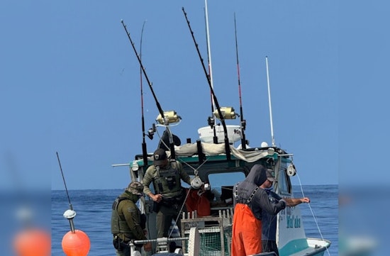 Hawaii Slaps $10k Fine on Kona Fisherman for Illegal Longline Fishing Practices