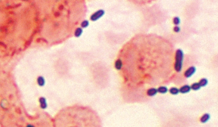 Health Advisory Issued for Palm Beach County Beaches Due to Elevated Enterococcus Bacteria Levels