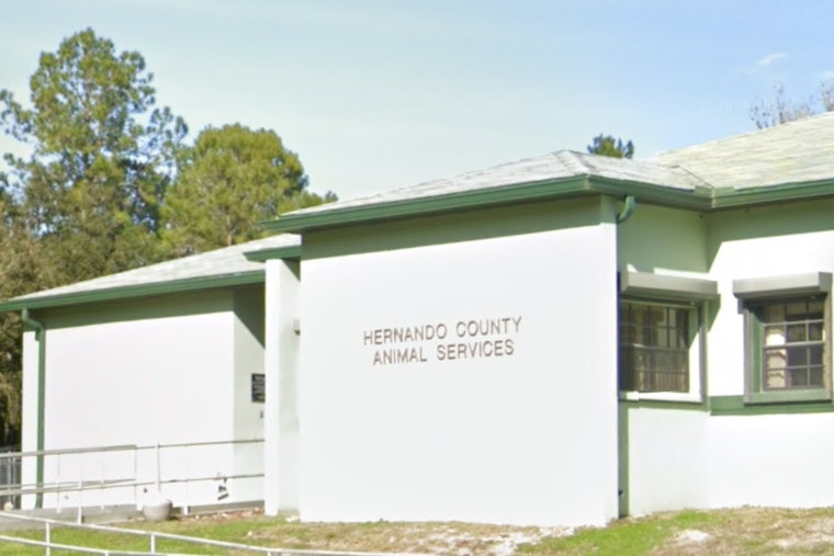 Hernando County Sheriff's Office Celebrates Remarkable Year for Animal Services with Increased Live Release Rates and Operational Efficiency