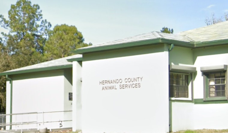 Hernando County Sheriff's Office Celebrates Remarkable Year for Animal Services with Increased Live Release Rates and Operational Efficiency