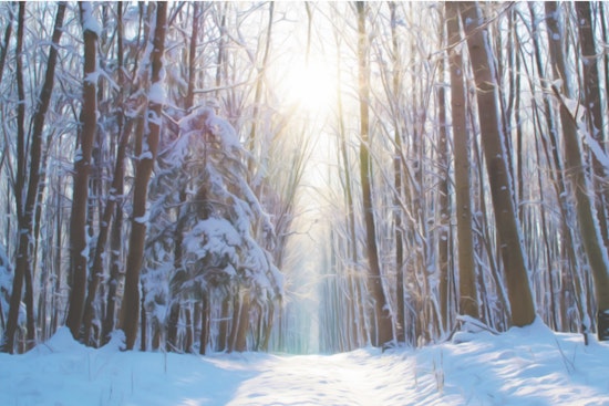 Hickory Braces for Winter Storm as the City Mobilizes Plows and Urges Residents to Stay Indoors