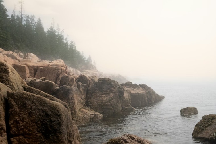 Hidden Toxins in the Mist: Bay Area Scientists Launch Statewide Fog Hunt