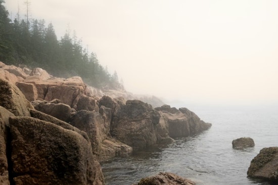 Hidden Toxins in the Mist: Bay Area Scientists Launch Statewide Fog Hunt