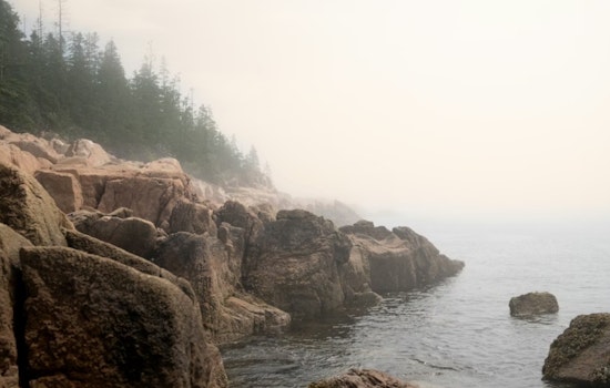 Hidden Toxins in the Mist: Bay Area Scientists Launch Statewide Fog Hunt