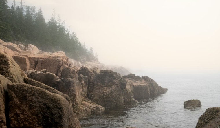 Hidden Toxins in the Mist: Bay Area Scientists Launch Statewide Fog Hunt