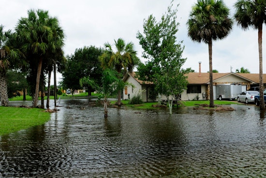 High Surf and Saltwater Streets Put Honolulu on Edge as Tides Creep In