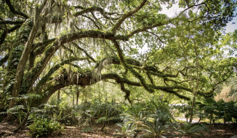 Hillsborough County Celebrates Florida Arbor Day with Interactive "Tree Quest" Event at Local Parks