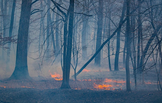 Hillsborough County Extends Emergency Burn Ban Amid Persistent Wildfire Risks