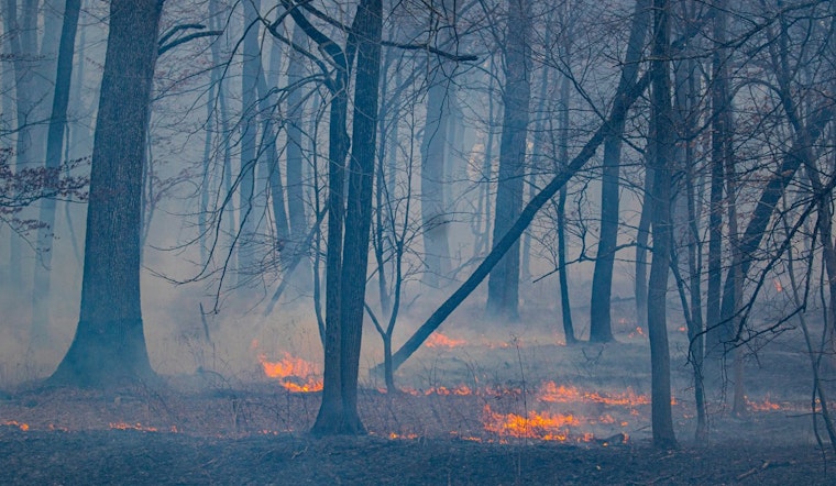 Hillsborough County Extends Emergency Burn Ban Amid Persistent Wildfire Risks