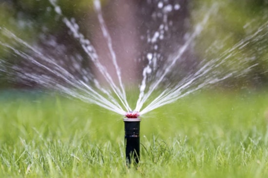 Hillsborough County Imposes One-Day-Per-Week Watering Restrictions Amid Severe Drought