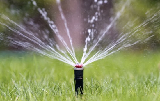 Hillsborough County Imposes One-Day-Per-Week Watering Restrictions Amid Severe Drought