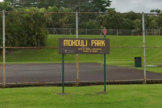Hilo Park Melee Erupts as Green Kia Cuts Through Crowd, Cops Nab Teens and Adults