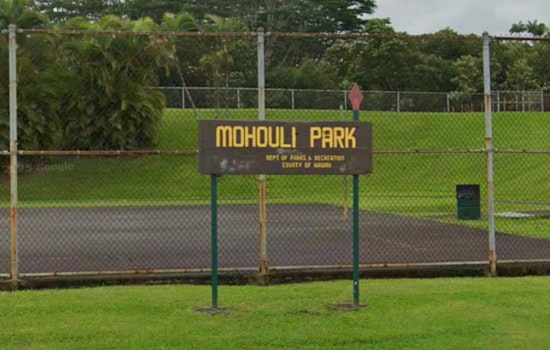 Hilo Park Melee Erupts as Green Kia Cuts Through Crowd, Cops Nab Teens and Adults