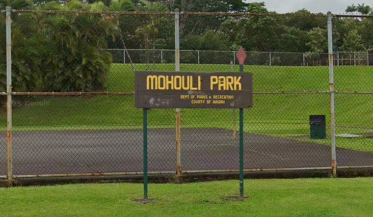 Hilo Park Melee Erupts as Green Kia Cuts Through Crowd, Cops Nab Teens and Adults