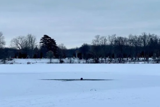 Holly Township Community and Police Rescue Man from Icy Waters of Bush Lake in Michigan
