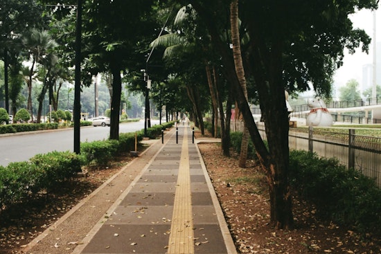 Honolulu Voters May Decide if City Must Fund Sidewalk Construction