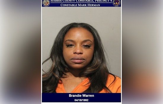 Houston Area Driver Charged with DWI and Unlawful Weapon Possession During Traffic Stop