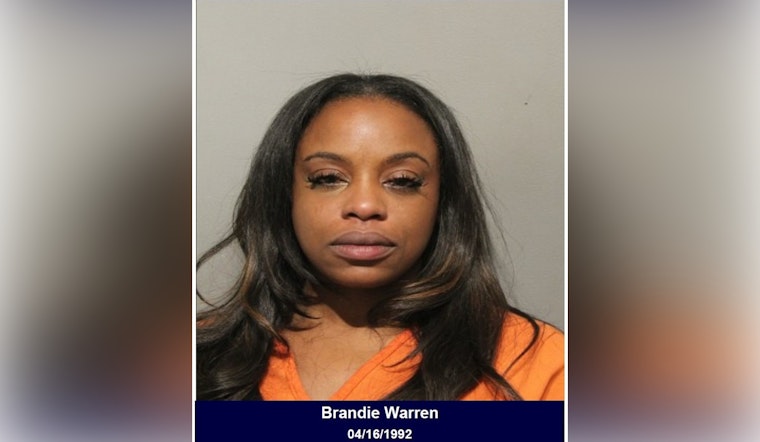 Houston Area Driver Charged with DWI and Unlawful Weapon Possession During Traffic Stop