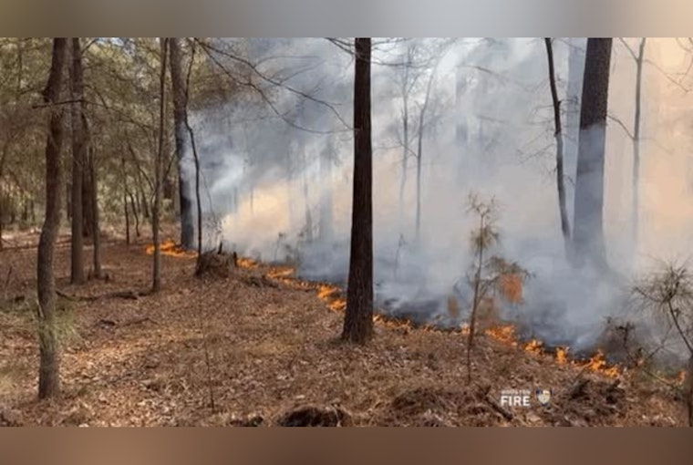 Houston Fire Department Conducts Controlled Burn in Addicks Reservoir to Prevent Future Hazards