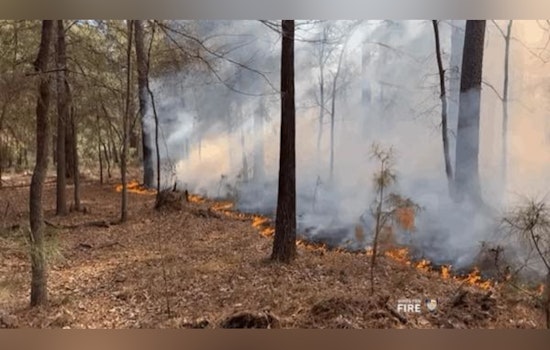 Houston Fire Department Conducts Controlled Burn in Addicks Reservoir to Prevent Future Hazards