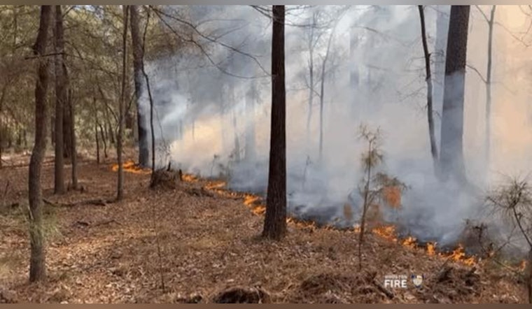 Houston Fire Department Conducts Controlled Burn in Addicks Reservoir to Prevent Future Hazards