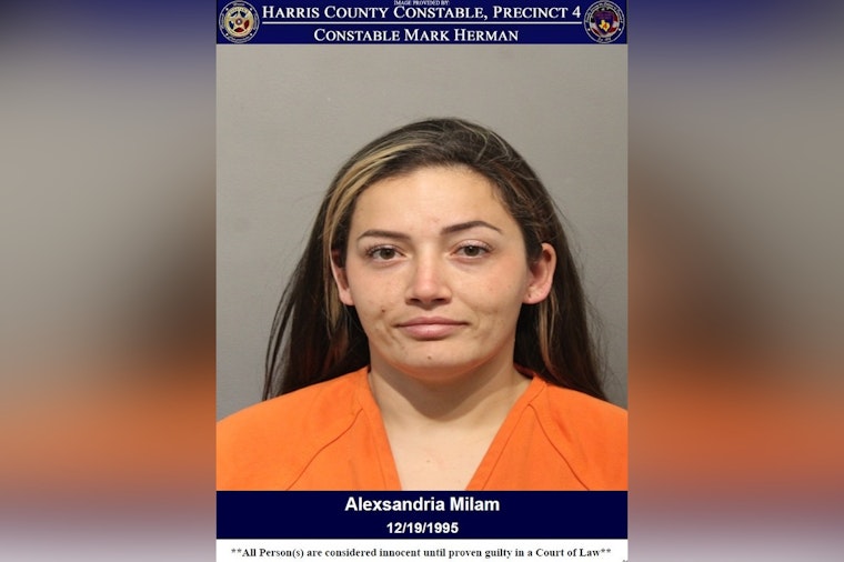 Houston Mom Charged With Reckless Driving After Truck Veers Into Ditch With Kids Onboard