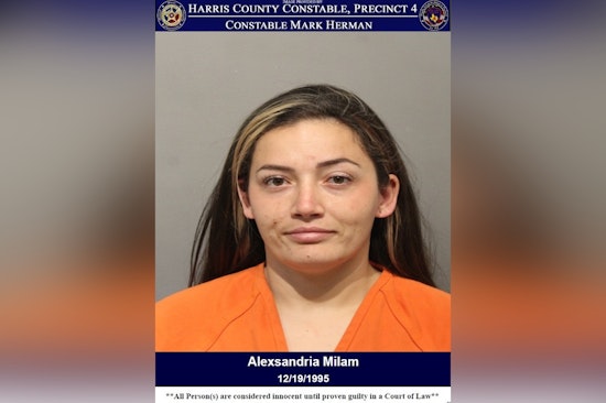 Houston Mom Charged With Reckless Driving After Truck Veers Into Ditch With Kids Onboard