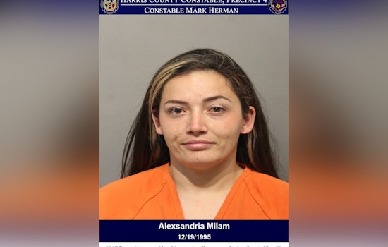 Houston Mom Charged With Reckless Driving After Truck Veers Into Ditch With Kids Onboard