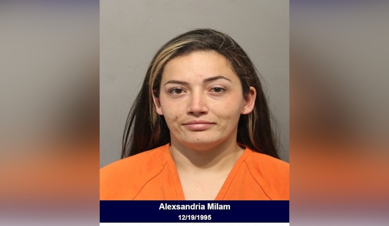 Houston Mom Charged With Reckless Driving After Truck Veers Into Ditch With Kids Onboard