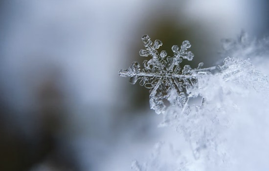 Houston on Alert for Weekend Weather Woes as Freezing Rain, Ice Storms and Arctic Blast Are Forecast