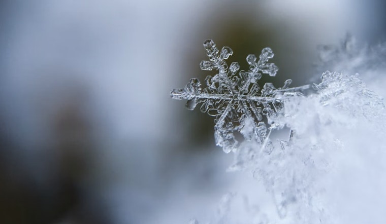 Houston on Alert for Weekend Weather Woes as Freezing Rain, Ice Storms and Arctic Blast Are Forecast