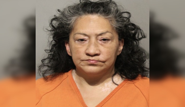 Houston Resident Charged with Aggravated Assault in Roommate Attack Involving Flammable Liquids