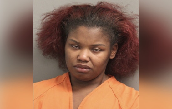 Houston Woman Charged with DWI and Assault on Officer After Noise Complaint Escalation
