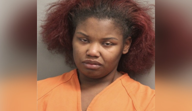 Houston Woman Charged with DWI and Assault on Officer After Noise Complaint Escalation