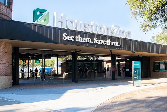Houston Zoo Tears Into Big Africa Makeover For Rhinos And Giraffes