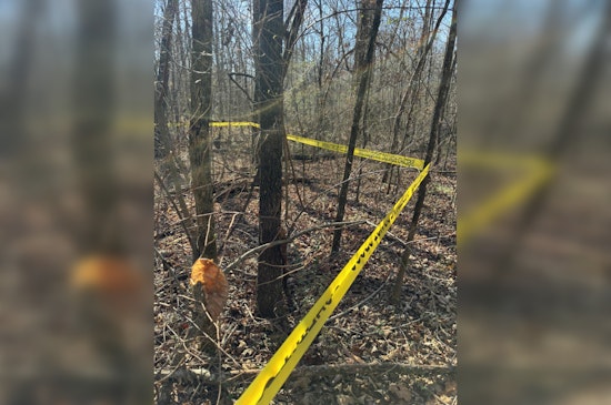 Human Remains Found Near Etowah Tennessee Investigators Examine Possible Link to Missing Person Case