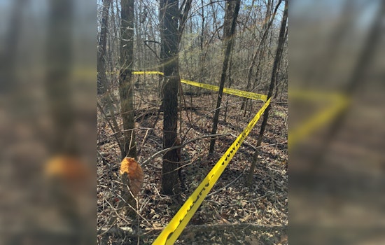 Human Remains Found Near Etowah Tennessee Investigators Examine Possible Link to Missing Person Case